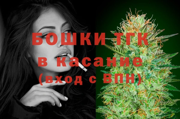 стафф Алексин