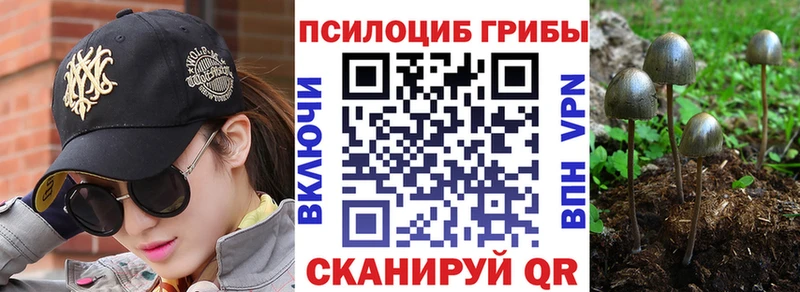 Галлюциногенные грибы прущие грибы  Купить закладки  Бугуруслан 